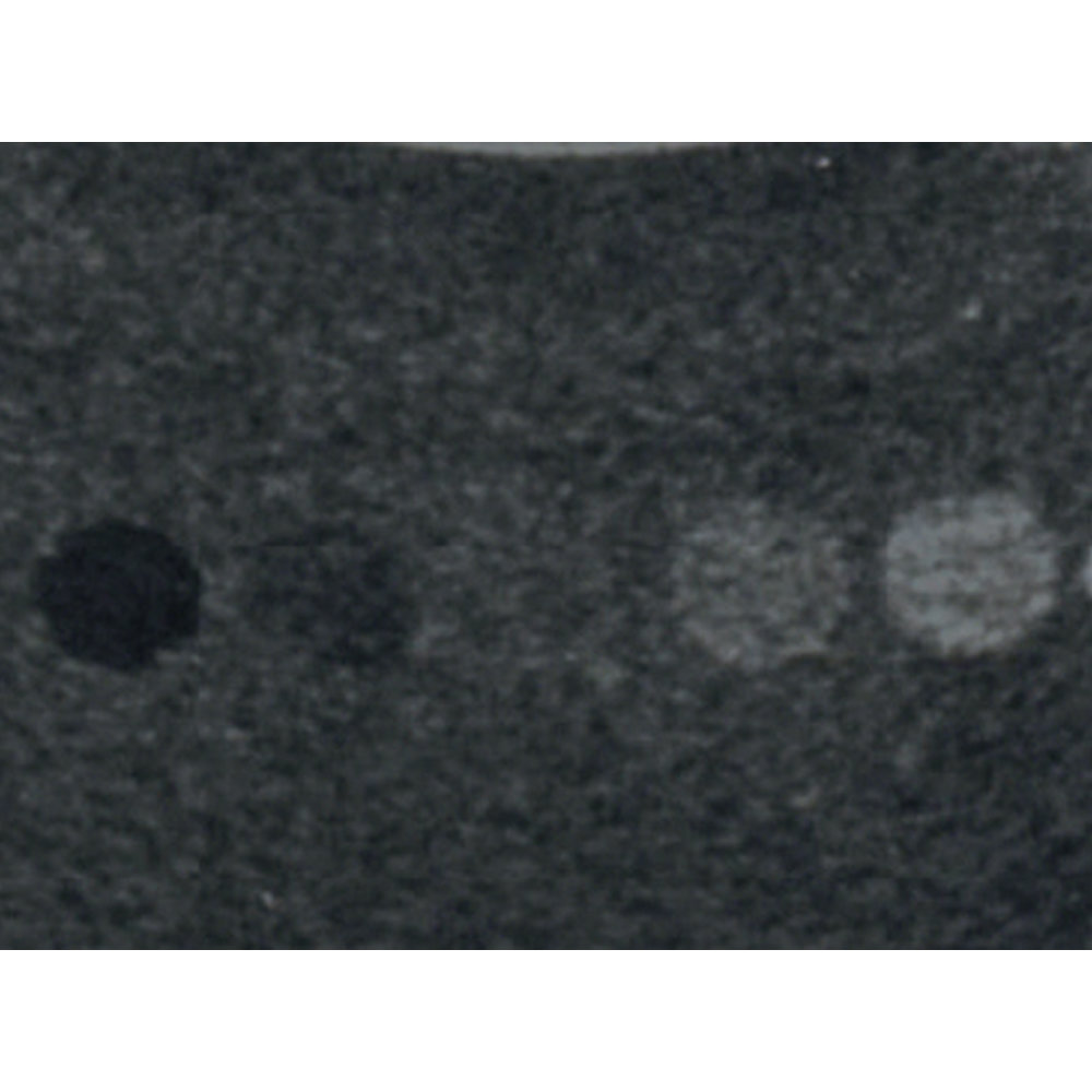 Ultrasound Quality Assurance Phantom Multi Purpose Phantom N365 Rothband